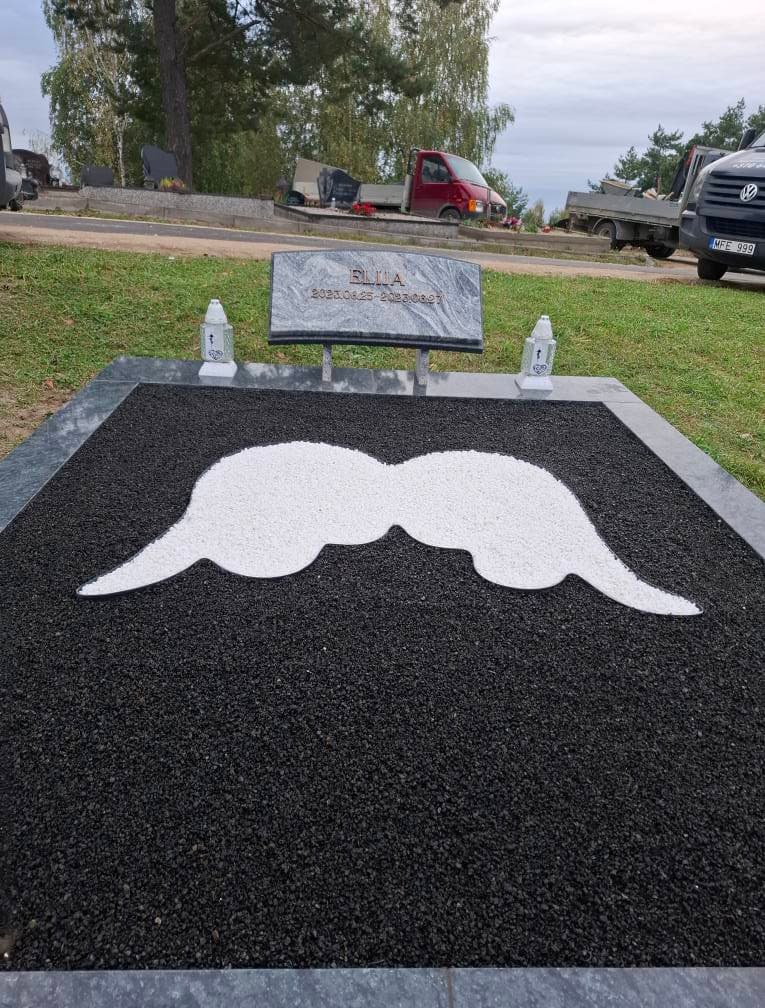 Atliktų darbų nuotrauka 31