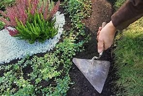 Vienkartinis kapavietės sutvarkymas